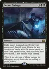 Product image for Secret Salvage