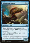 Product image for Shipwreck Moray