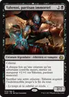 Product image for Yahenni, partisan immortel