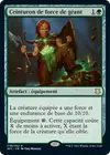 Product image for Ceinturon de force de géant