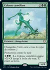 Product image for Colosse caméléon