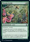 Product image for Terrain fertile