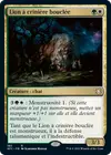 Product image for Lion à crinière bouclée