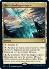 Product image for Havre du dragon-esprit