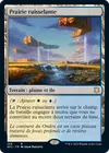 Product image for Prairie ruisselante
