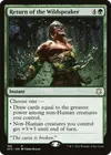 Product image for Return of the Wildspeaker