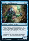 Product image for Augure sophiopotame