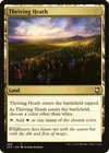 Product image for Thriving Heath