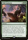 Product image for Wild Endeavor