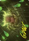 Product image for Spinner of Souls