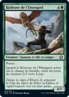 Product image for Rôdeuse de l'Elturgard