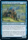Product image for Escroc de la Féerie sauvage