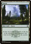 Product image for Forest