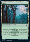Product image for Forêt