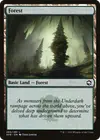 Product image for Forest