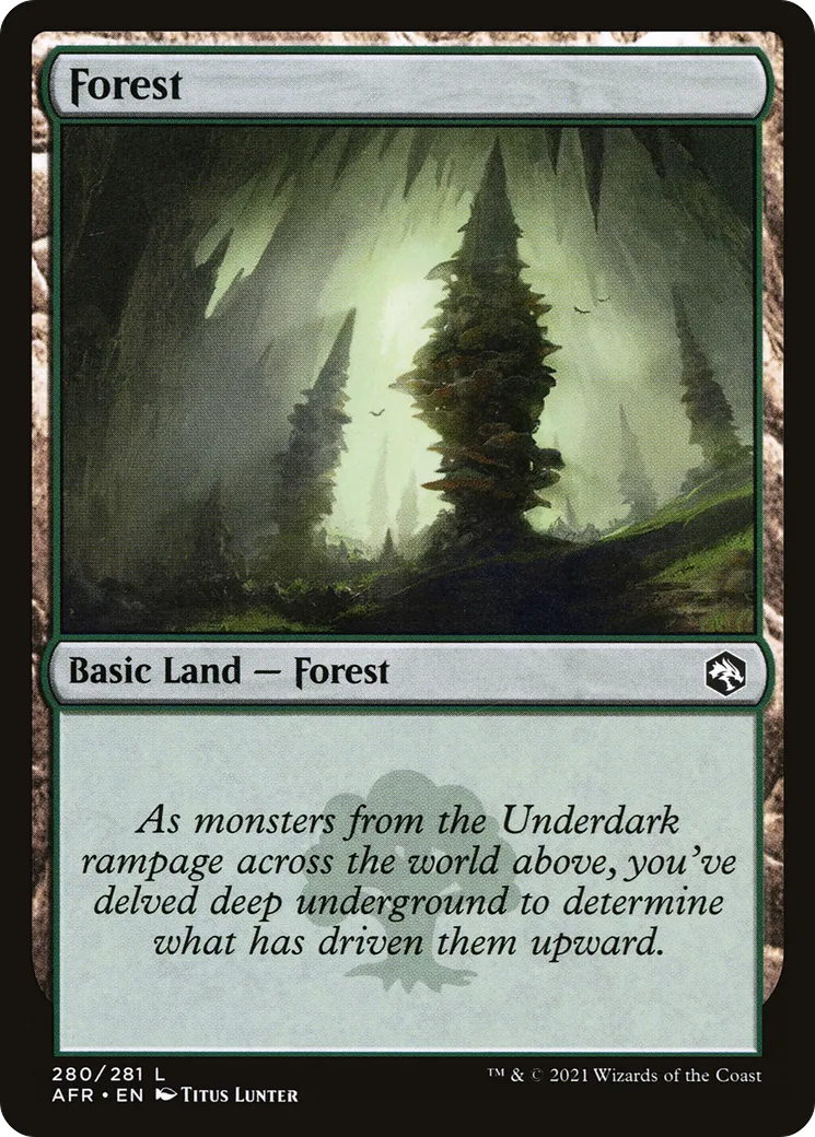 Forest — Adventures in the Forgotten Realms — Magic: The Gathering