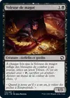 Product image for Voleuse de magot