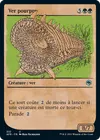 Product image for Ver pourpre