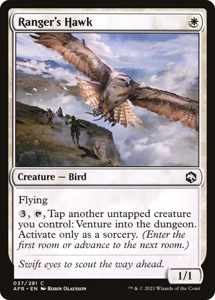 Faucon du rôdeur — Adventures in the Forgotten Realms — Magic: The Gathering