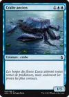Product image for Crabe ancien
