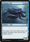 Product image for Ancient Crab