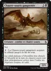 Product image for Chauve-souris gangrenée