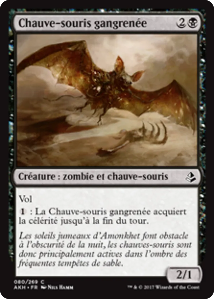 Chauve-souris gangrenée — Amonkhet — Magic: The Gathering