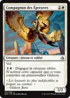 Product image for Compagnon des Épreuves