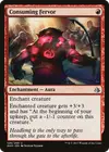 Product image for Consuming Fervor