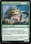 Product image for Crocodile de la Traversée