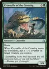 Product image for Crocodile of the Crossing