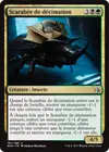 Product image for Scarabée de décimation
