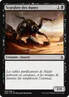 Product image for Scarabée des dunes