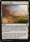 Product image for Evolving Wilds