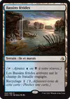 Product image for Bassins fétides