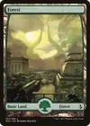 Product image for Forest