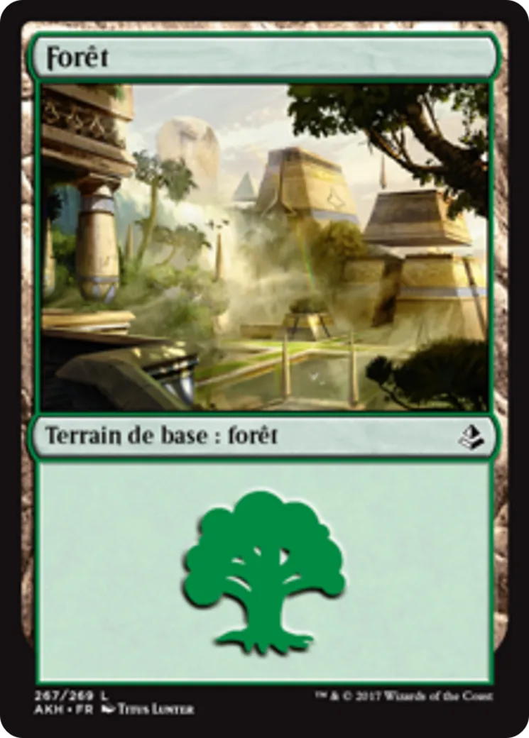 Forêt — Amonkhet — Magic: The Gathering