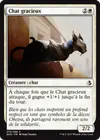 Product image for Chat gracieux