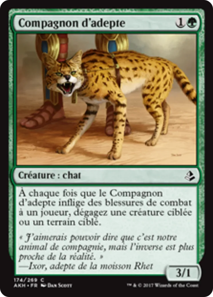 Compagnon d'adepte — Amonkhet — Magic: The Gathering