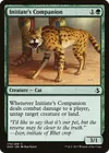 Product image for Initiate's Companion