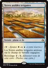 Product image for Terres arables irriguées