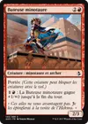Product image for Buteuse minotaure