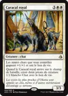 Product image for Caracal royal