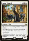Product image for Regal Caracal