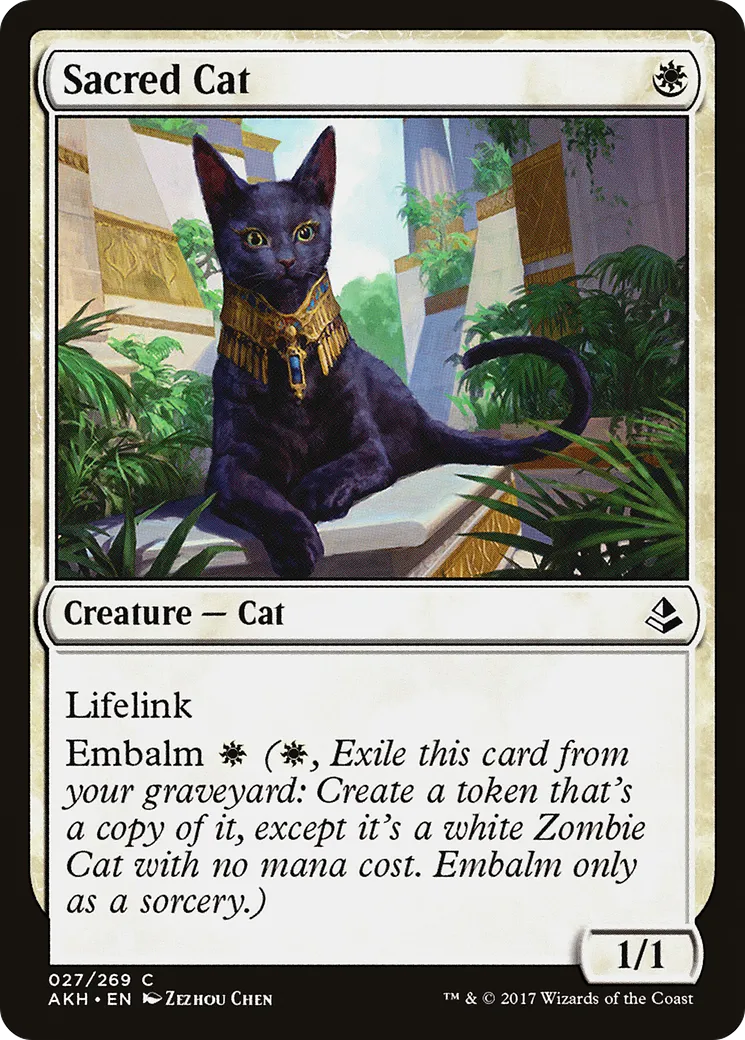 Sacred Cat — Amonkhet — Magic: The Gathering