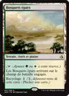 Product image for Bosquets épars