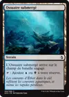 Product image for Ossuaire submergé