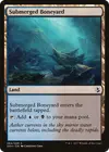 Product image for Submerged Boneyard