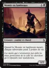 Product image for Momie en lambeaux