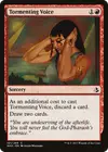 Product image for Tormenting Voice